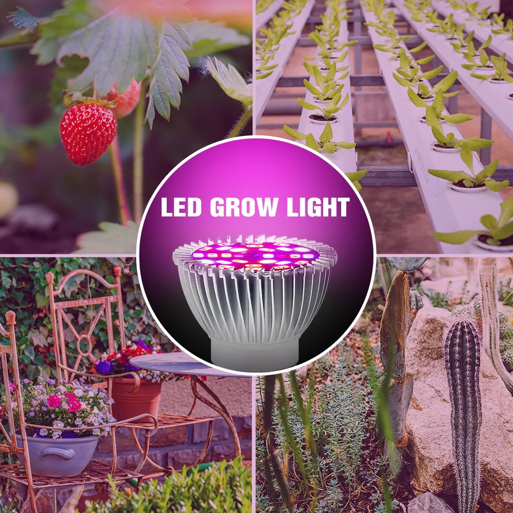 E27 220V LED Plant Grow Light Bulb E14 Full Spectrum Flower Seed Vegetable Indoor Hydroponics Grow Box Cultivation Lamp 110V E26