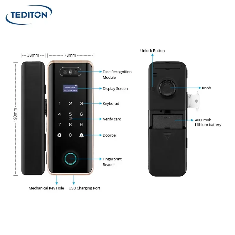 Tediton Seguridad Pantalla táctil Control remoto Contraseña digital Reconocimiento facial Cerradura de puerta de vidrio con huella digital