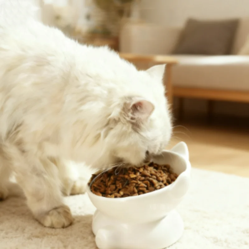 tigela-para-gatos-e-caes-em-ceramica-com-pes-diagonais-elevados-design-fofo-protecao-da-coluna-cervical-tigela-para-Agua-acessorios-e-suprimentos-para-animais-de-estimacao