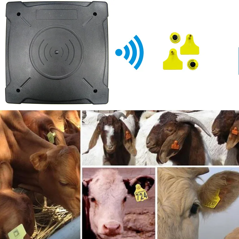 

134.2Khz FDXB ear tag Dairy identification EID antenna Panel Reader fixed Antenna for Livestock Scale sheep cattle pass weighing