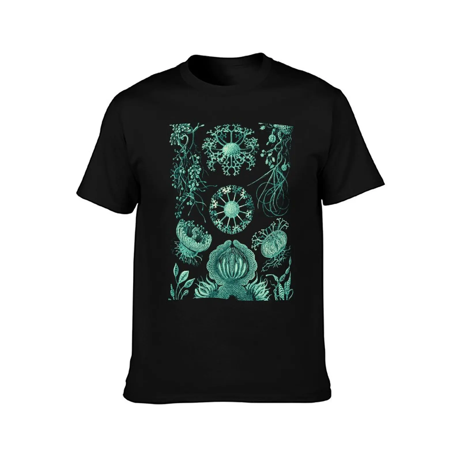 Ernst Haeckel Ascomycetes Sac Fungi T-Shirt Holiday Lightweight T-Shirt