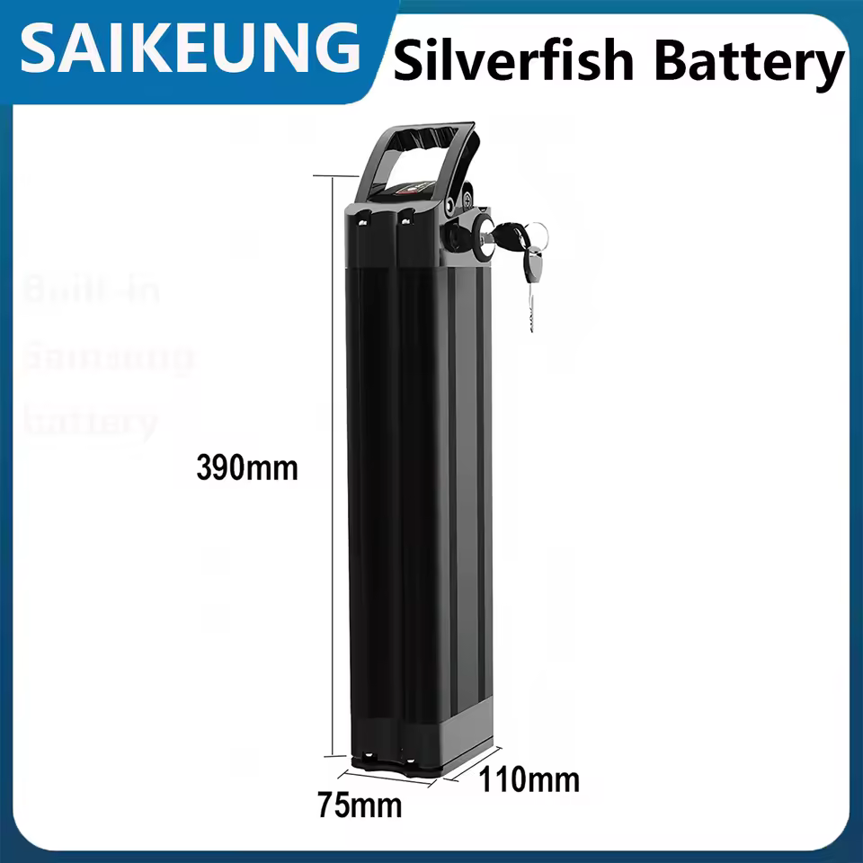 2. Silverfi..