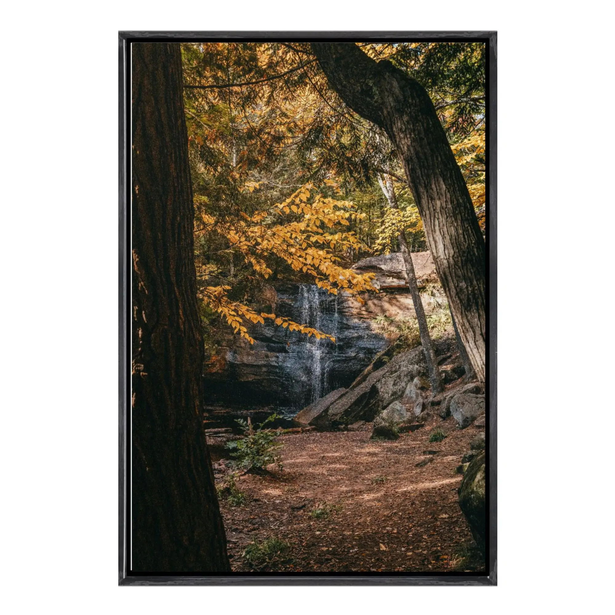 

Japanese Autumn Tree-Lined Path Canvas Framed Wall Art, Stunning Fall Foliage Scenic Print, Forest Pathway Nature Poster