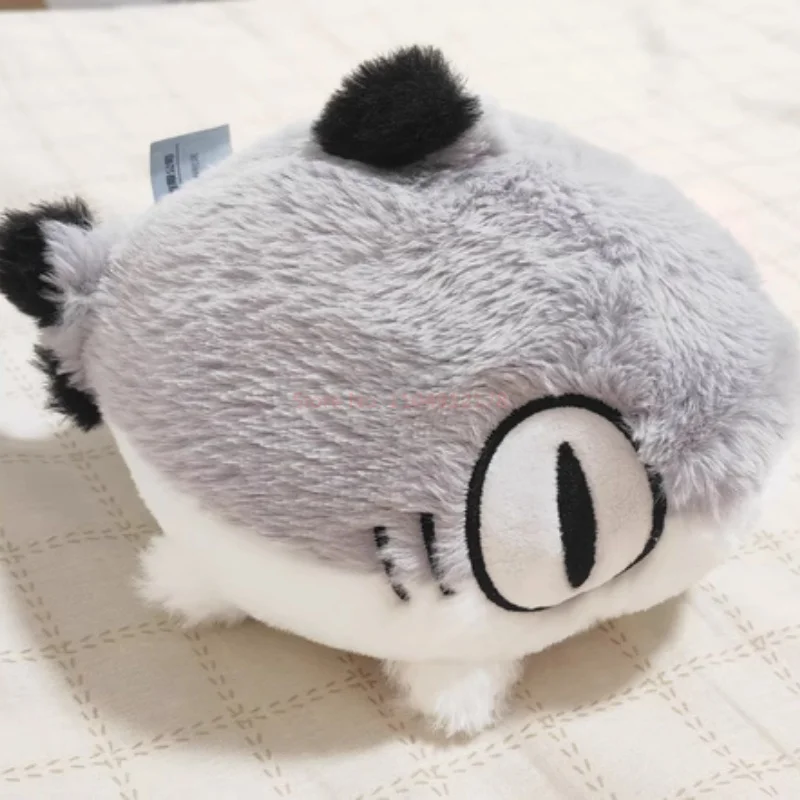 حقيقية 20 سنتيمتر أفخم الدمى Sharkitty الطرفية القرش القط شبل ألعاب من نسيج مخملي Kawaii أنيمي نموذج دمية موضة سطح المكتب الديكور الهدايا