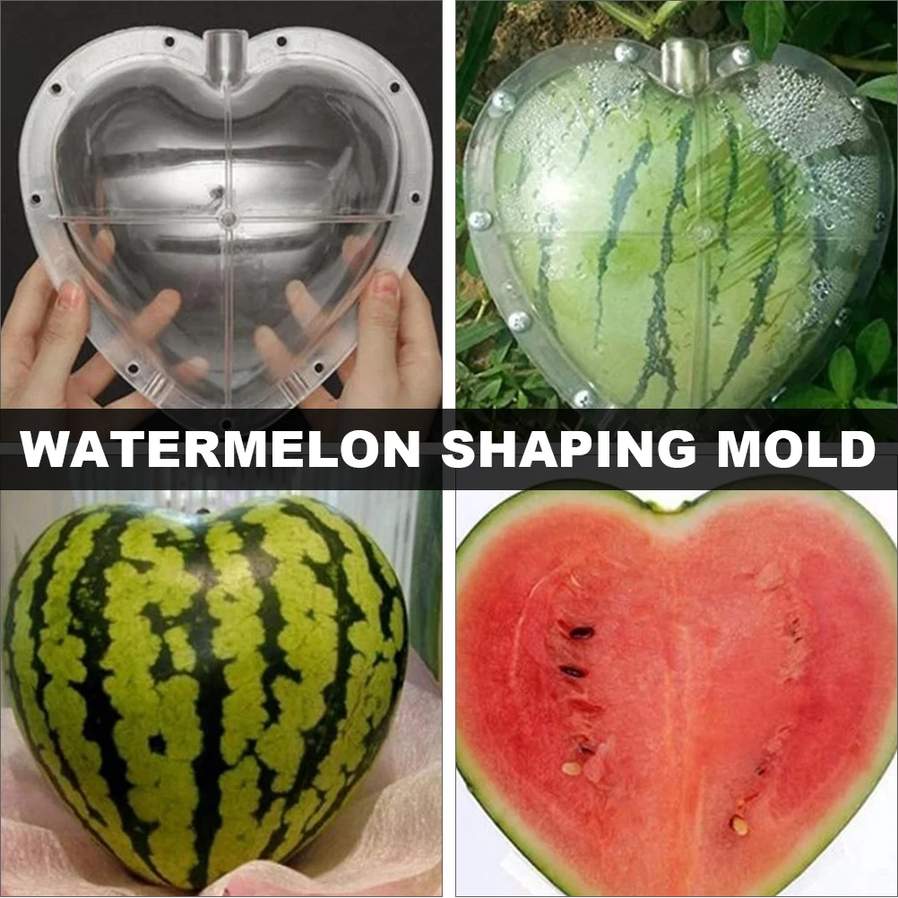 

Heart Shaped Watermelon Transparent PC Material Garden Tool Fruit Shaping Molds Easy Use Lightweight Compact Design Vegetable