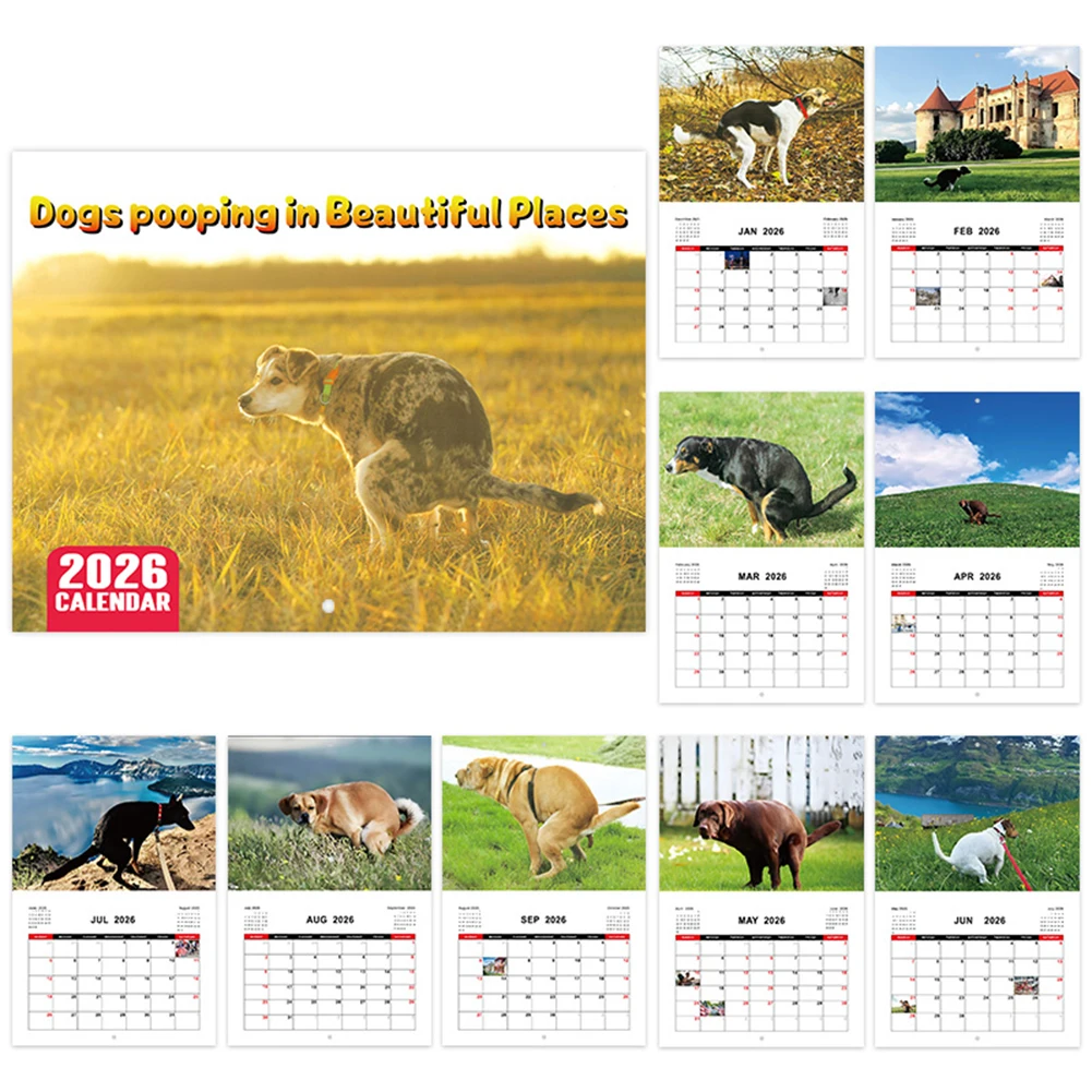 2026 Wall Calendar Funny Animal Calendar Hanging Calendar for Office  Home Gag Gifts