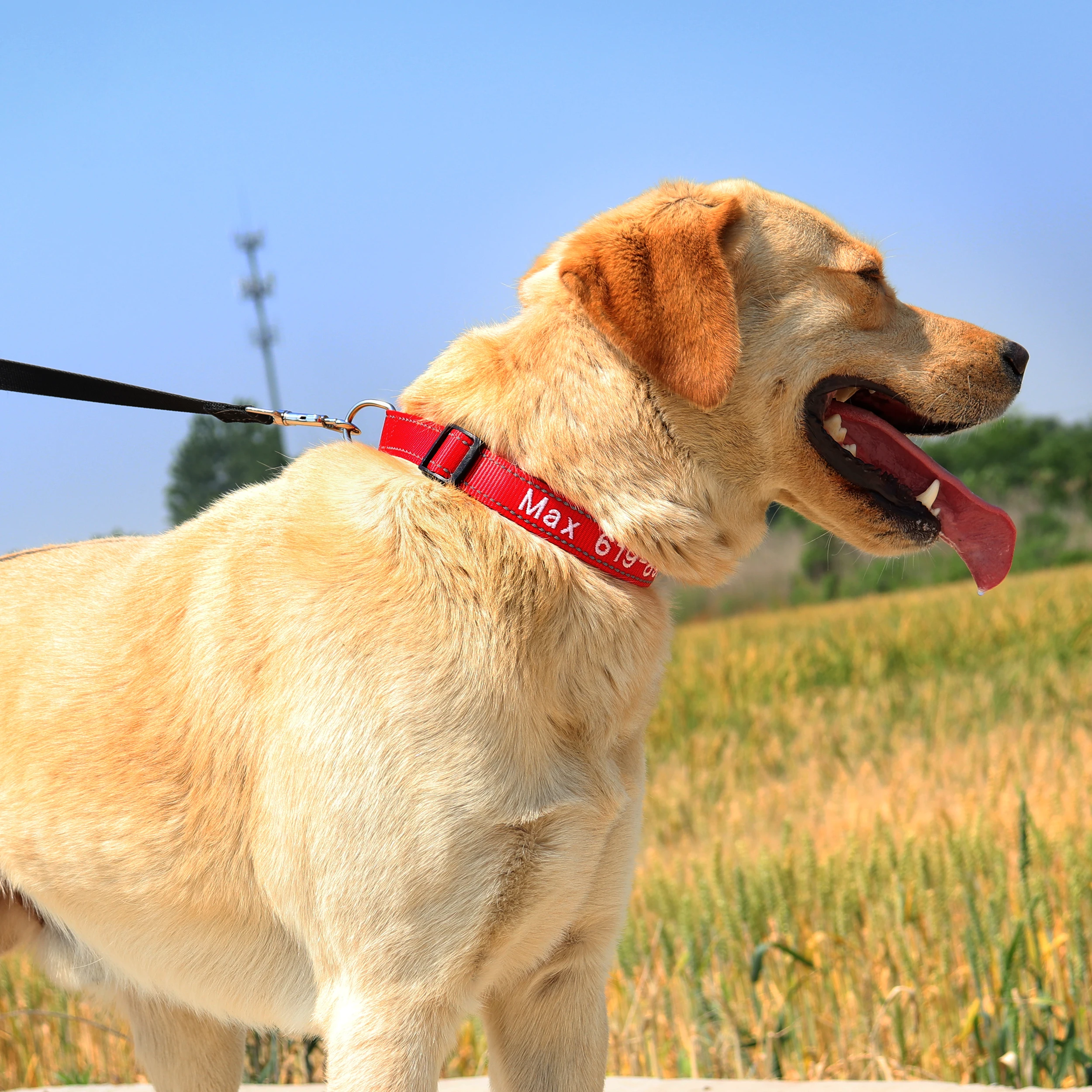 Personalisierte bestickte Hundehalsbänder aus Nylon, individuelles Welpen-ID-Namenhalsband für kleine, mittelgroße und große Hunde, verstellbares Haustierhalsband – Detail 18