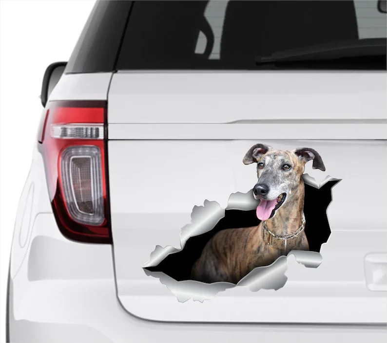 Brindle Whippet sticker Brindle Whippet car decal Whippet car decal Pet decal Dog stickers 3d sticker Funny decals Gift Brindle