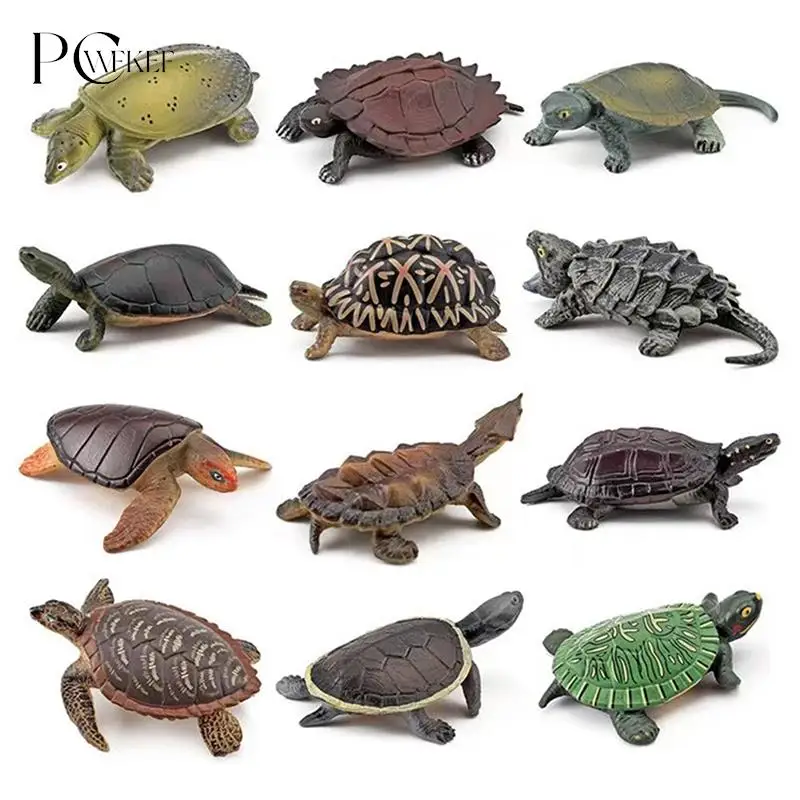 Figura de acción de tortuga realista, figuritas de animales, modelos de acuario en miniatura, regalo para niños