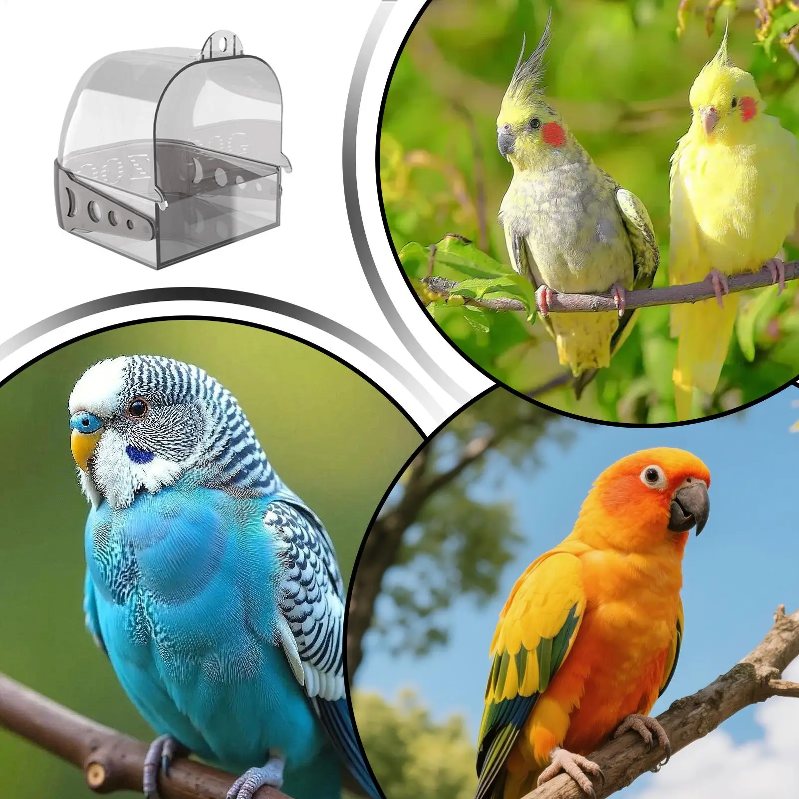 Bird Cage Bath Hangable Detachable Portable Shower Bathtub Cockatiel Bird Bath Conure Tub For Cockatiel Conure Macaw Home Indoor view 3