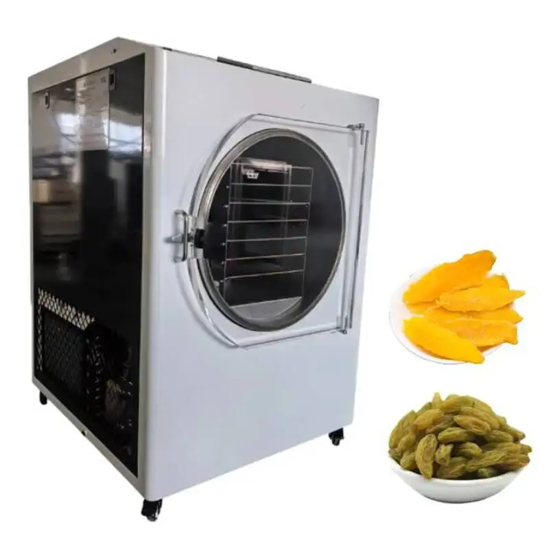 

BZ JY-FD10 Vacuum Machine Food Processing Fruit And Vegetable Freeze-Drying Equipment