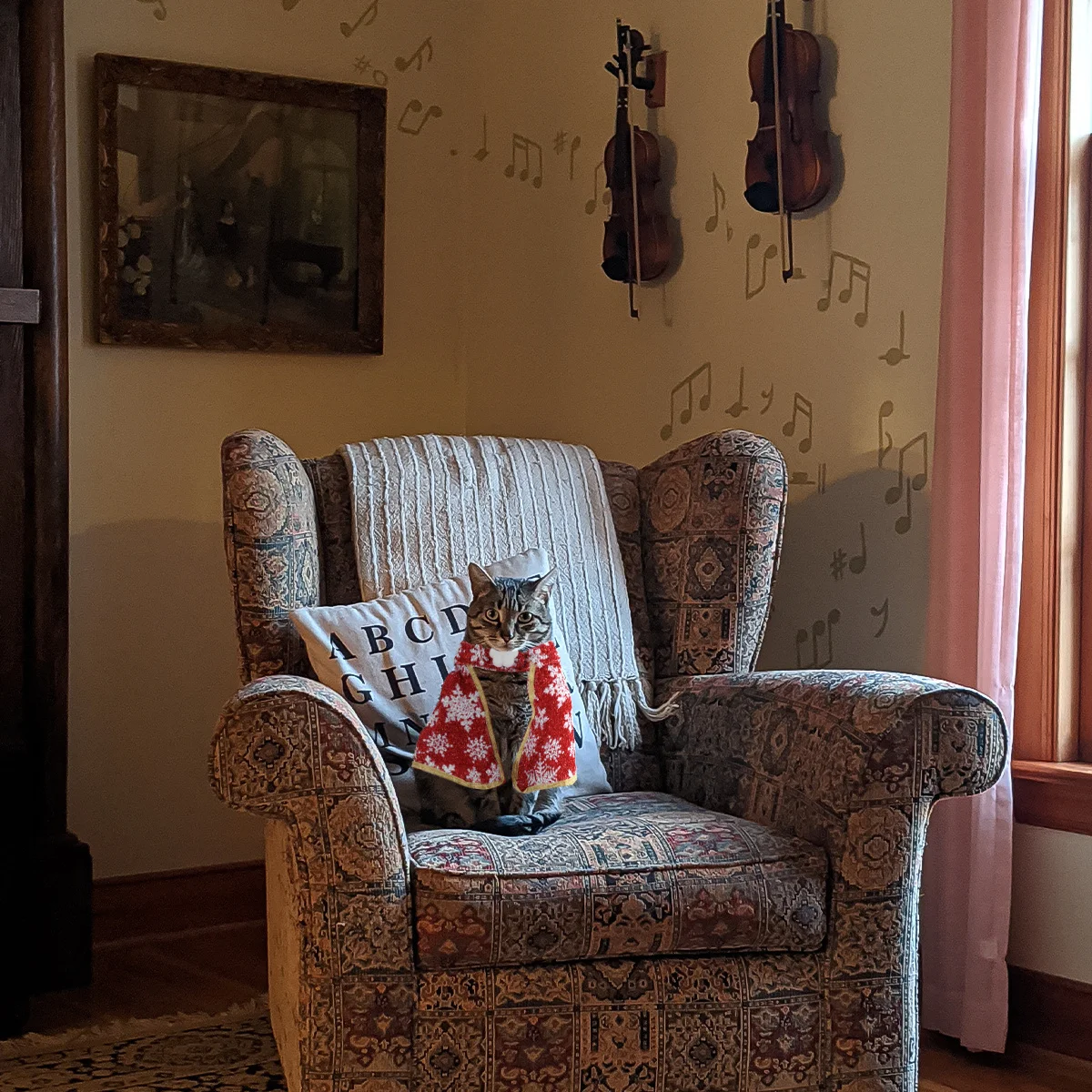 

Snowflake Pattern Christmas Pet Cape Lightweight Cloak for Cats Puppy Party Costume Pet Cosplay Clothes Cloak for Cats