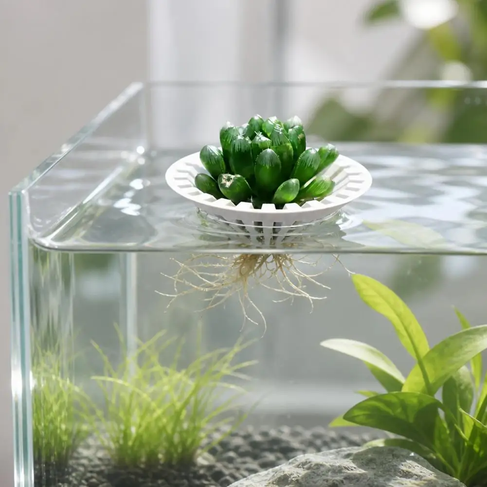 Floating Fish Tank Plant Holder 3d Printed Floating Aquarium Plant Holder Hydroponic Planter Basket Fish Tank for Water for Fish