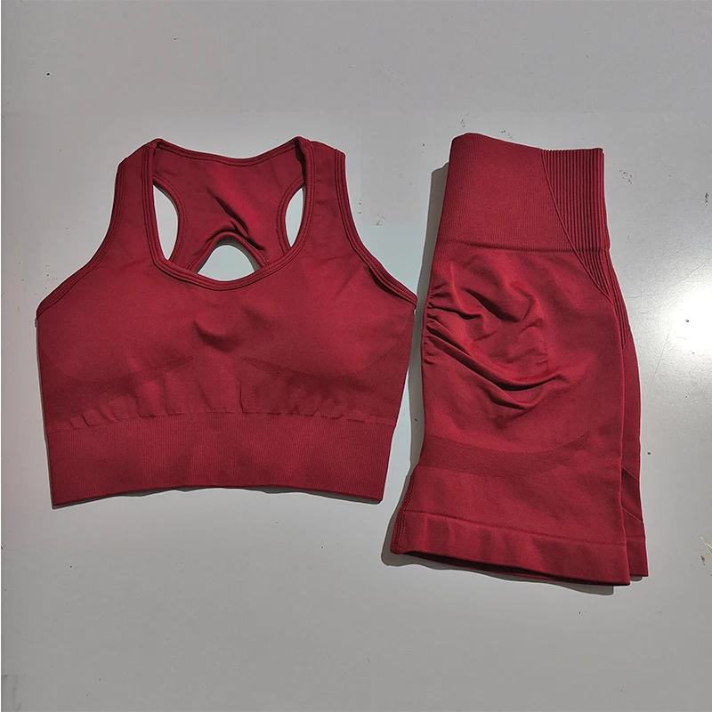 Seamless Yoga Set for Women, Sexy Sport Bra, High Waist Sports Shorts Suit , Gym Clothing, Fitness Bra Set, 2 PCS Shorts Suit image 5