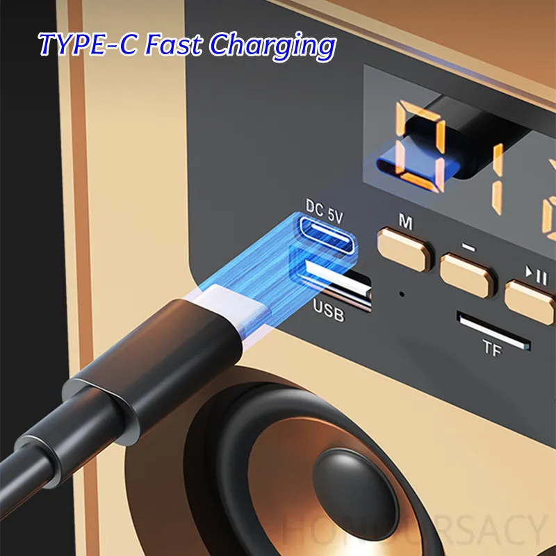 خشبية عالية الجودة كاريوكي سمّاعات بلوتوث في الهواء الطلق المحمولة HIFI مضخم صوت ستيريو RGB ضوء جهاز عرض المسرح المنزلي مع 2 هيئة التصنيع العسكري