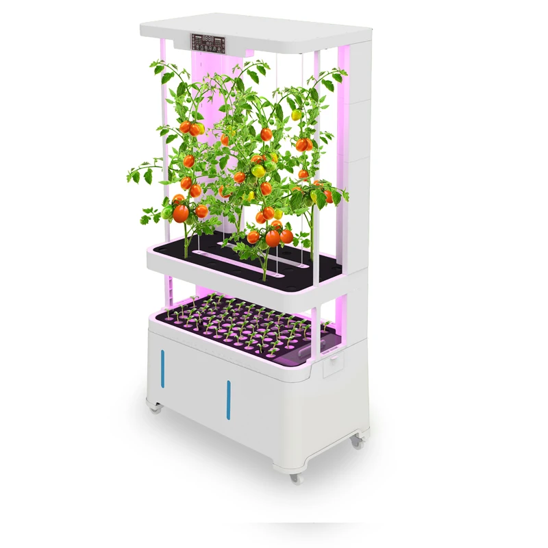 Remote Control Detachable Led Lamp Garden Greenhouse Grow Vertical Cabinet Hydroponic System for Vegetable and Fruit