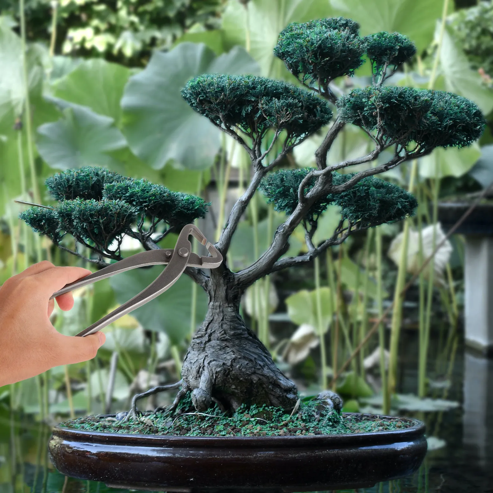 Bonsai Garden Knife - Cisailles de taille-bonsaï, séparateur de branches,