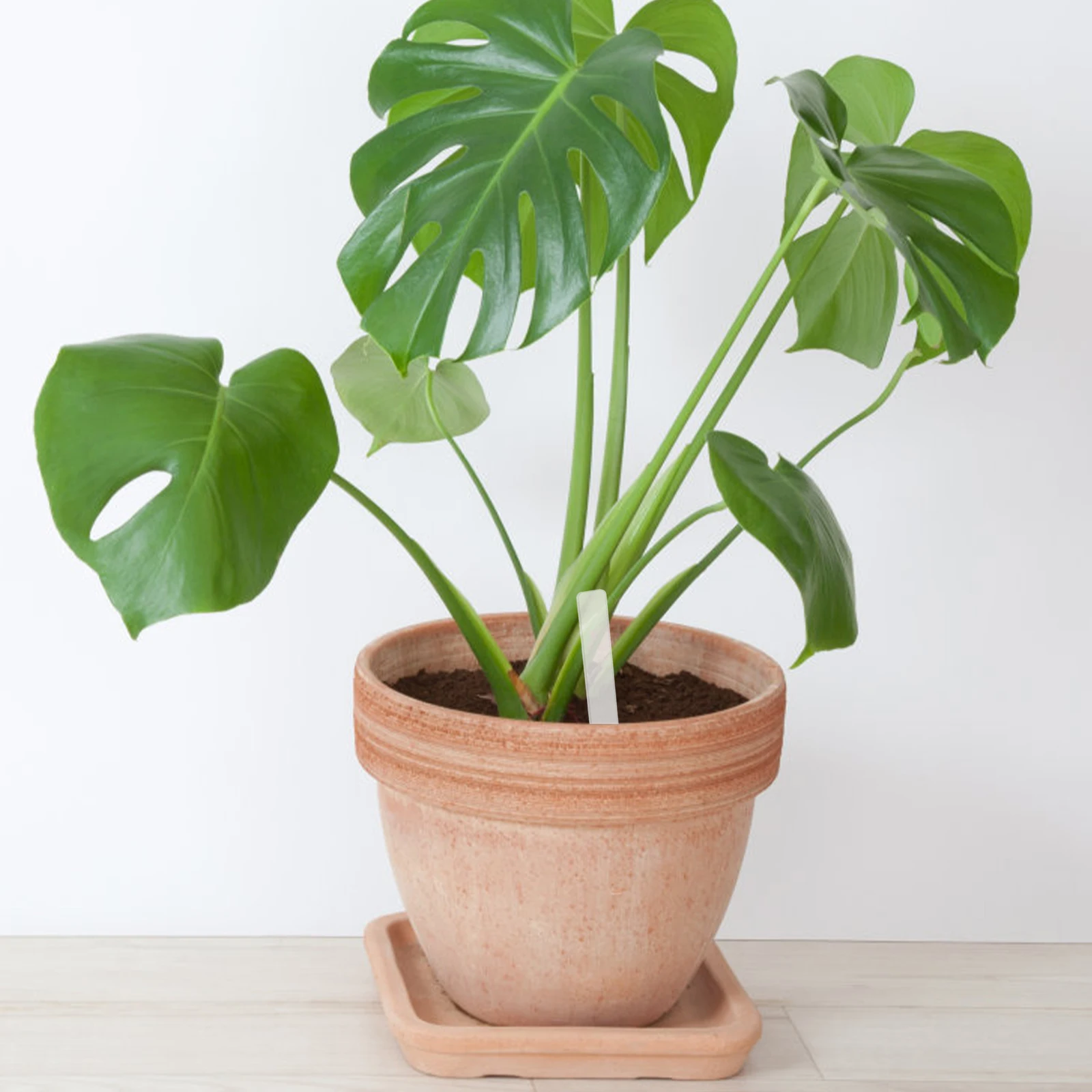 

48Pcs Plant Label Tags Acrylic Durable Garden Markers Lightweight Plant Name Labels for Indoor Outdoor Succulent