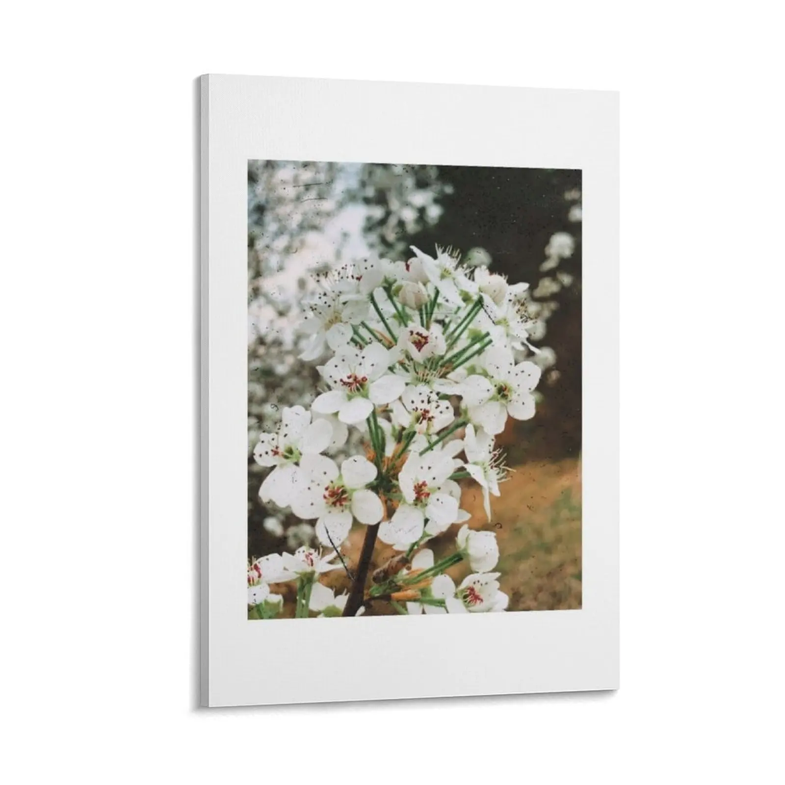 

Картина на холсте с белыми цветами, художественные картины для дома и украшения, картины для спальни, холст для украшения стен