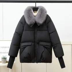 2024 New Fashion Short Down cotton Padded Jacket Women Winter Coats Large Size Fur Collar Parkas Korean Girls Outerwear