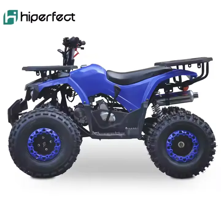 New Style 110cc 125cc Automatic 4 Stroke Chain Drive ATV Quad Bike Four Wheeler With CE Certification For Sale