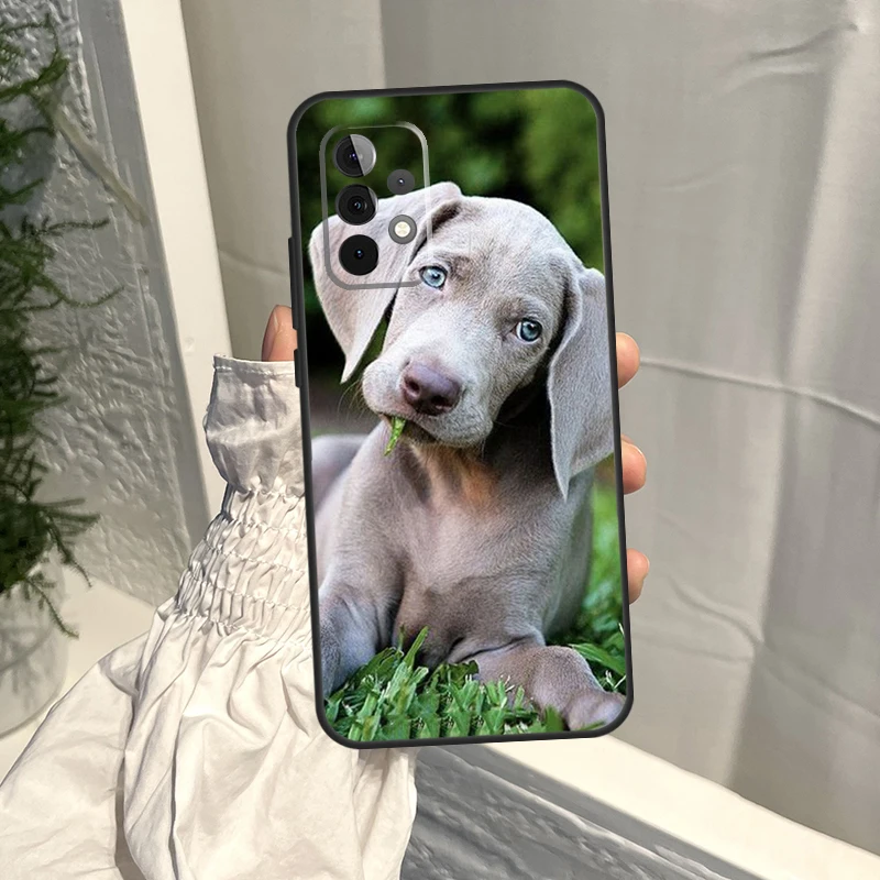 Weimaraner 개 케이스, 삼성 갤럭시 A54 A34 A51 A71 A31 A11 A73 A53 A33 A13 A52 A32 A12 A14 A21S 커버