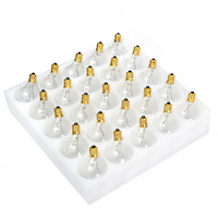 25pcs Light Bulbs Replacement G40 Tungsten Bulb Lamp 7W 220-240V Clear Globe Bulb E12 Base Light Bulbs for Indoor Outdoor Patio