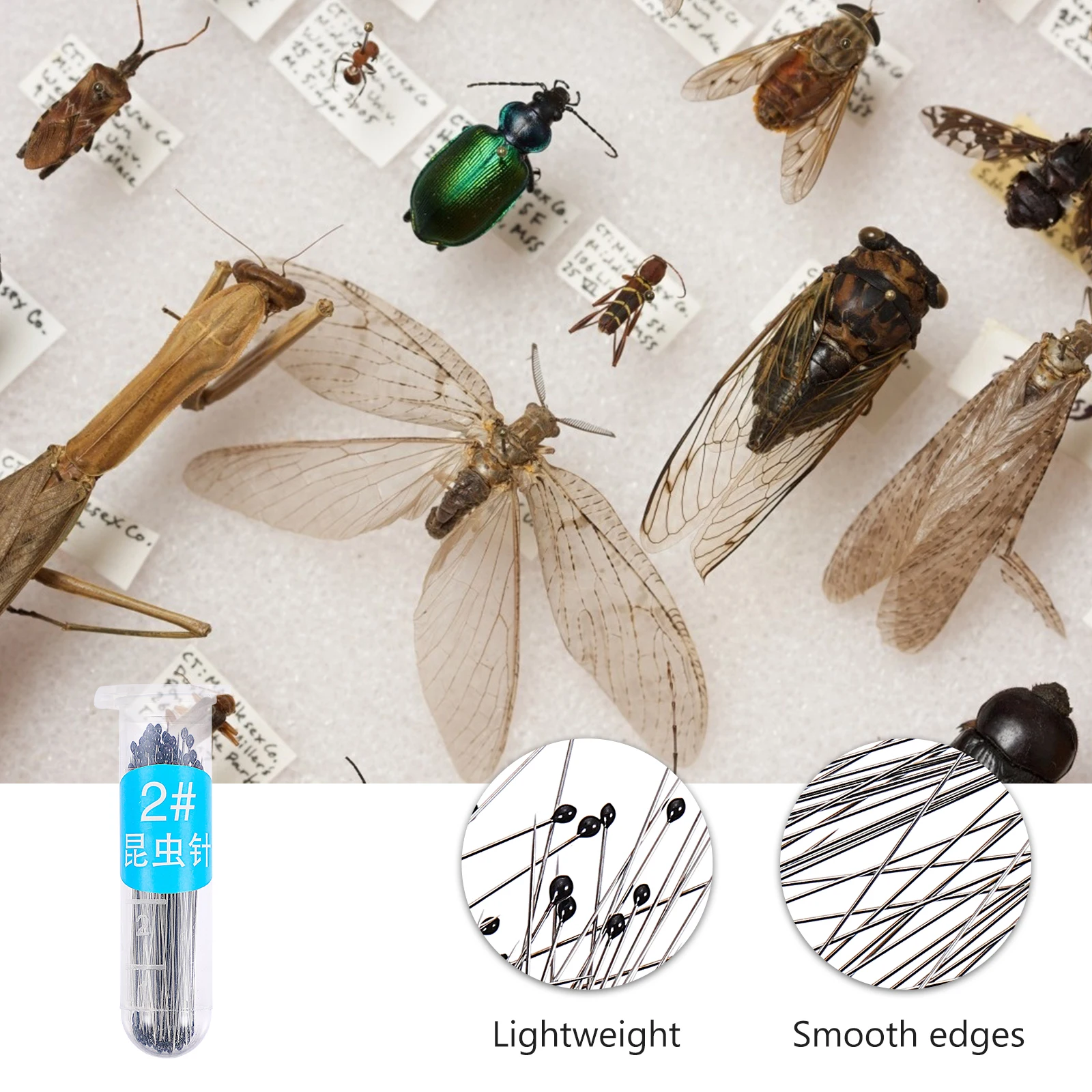 

200pcs Stainless Steel Specimen Pins Insect Collecting Mounting Display Storage Plastic Vials Long-Term Preservation For