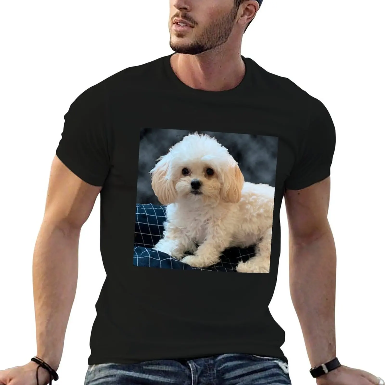Maltipoo Love. Beautiful little dog with long silky white hair. T-Shirt tops funny gifts mens funny t shirts
