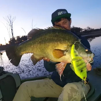 Jointed Rattletrap Swimbait 6