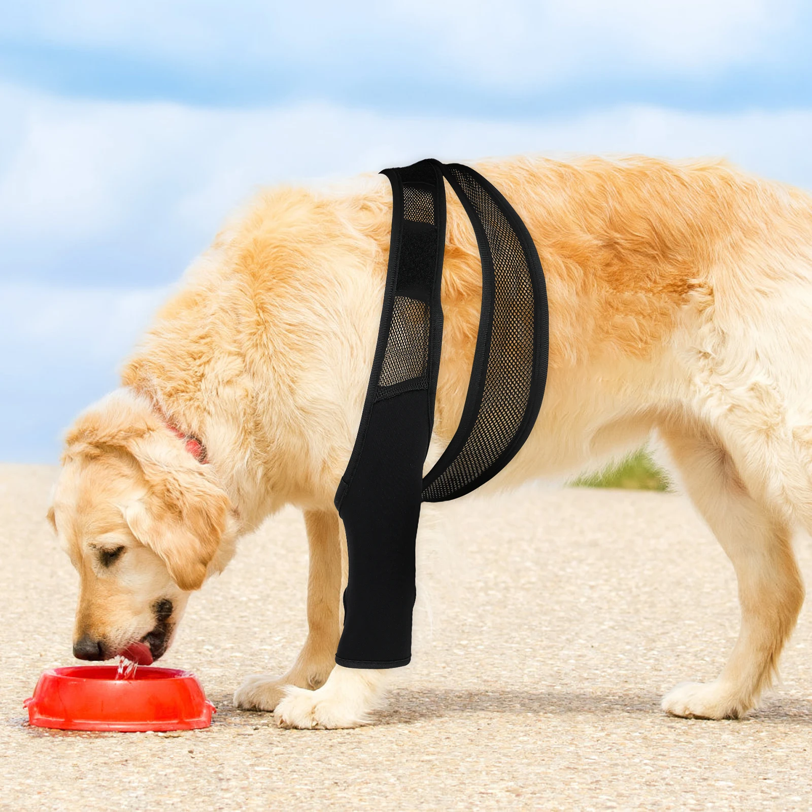 

Dog Knee Brace Neoprene Support For Injured Leg Improved Circulation Adjustable Puppy Post Surgery Recovery Pet Injury