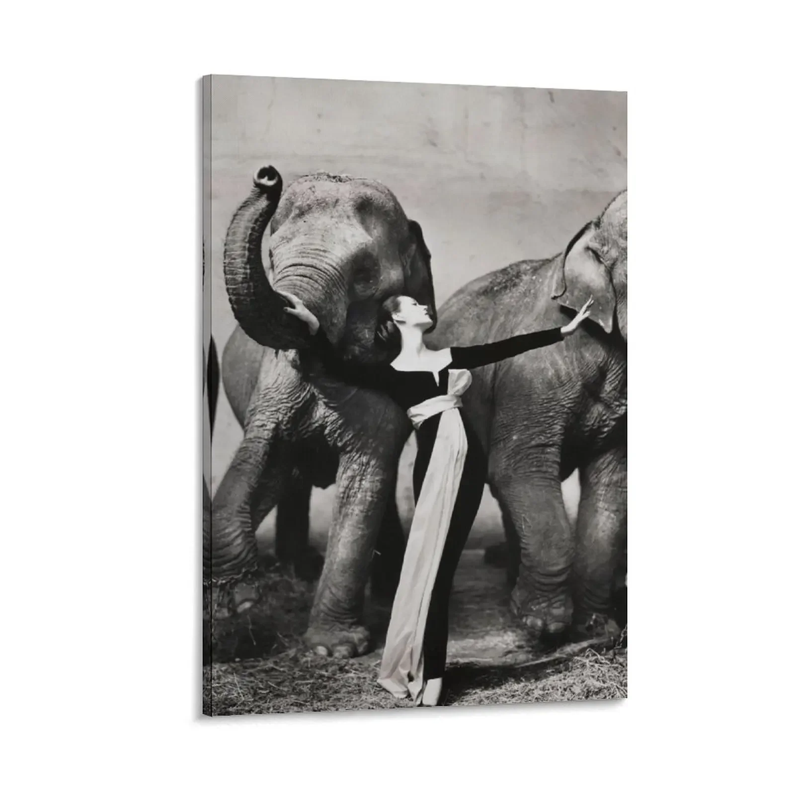 

Dovima with elephants, 1955 - RICHARD AVEDON - Fashion Photography Canvas Painting room decor room decorations for girls