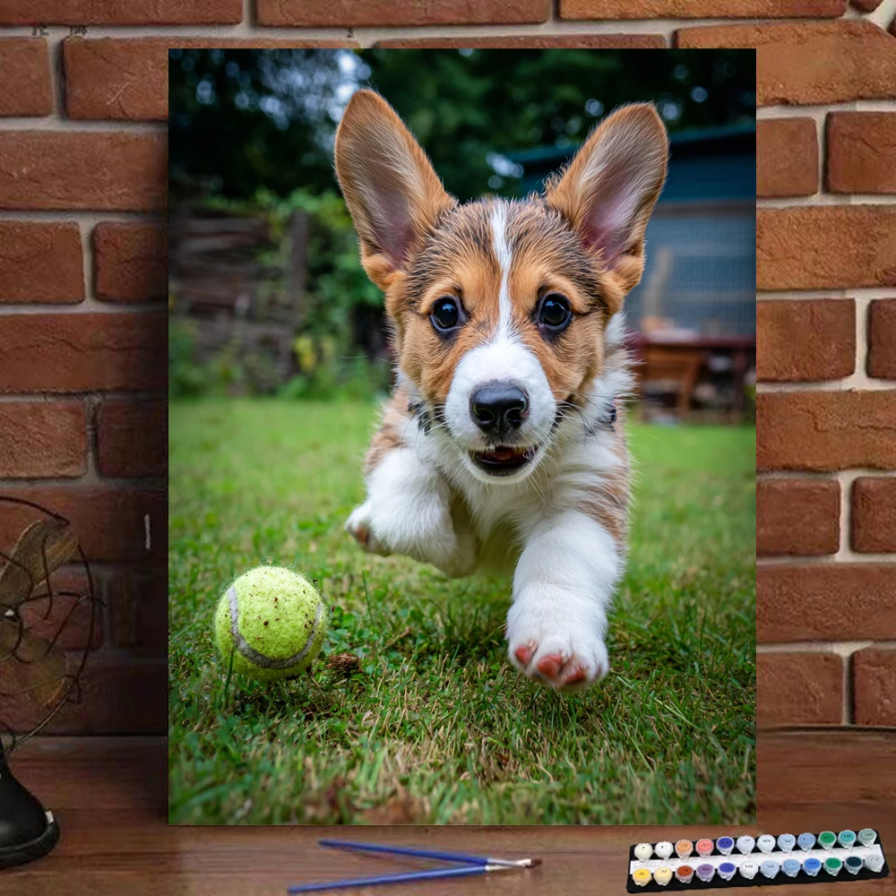 

Картина по номерам, бегущий корги, цифровая картина, ручная работа, подарок для взрослых и детей, украшение на стену D