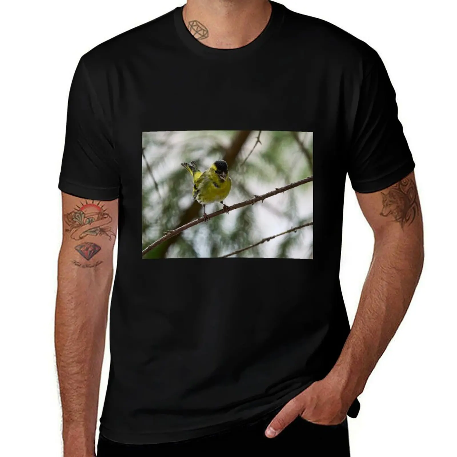 

Tweeting Siskin T-Shirt man t shirt graphic t shirt man luxury T-Shirt