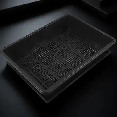 1Set Rectangular Succulent Seedling Tray with Drainage Bottom for Indoor Plants Multifunctional Plant Growing Starter Plastic