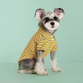 Yellow 1