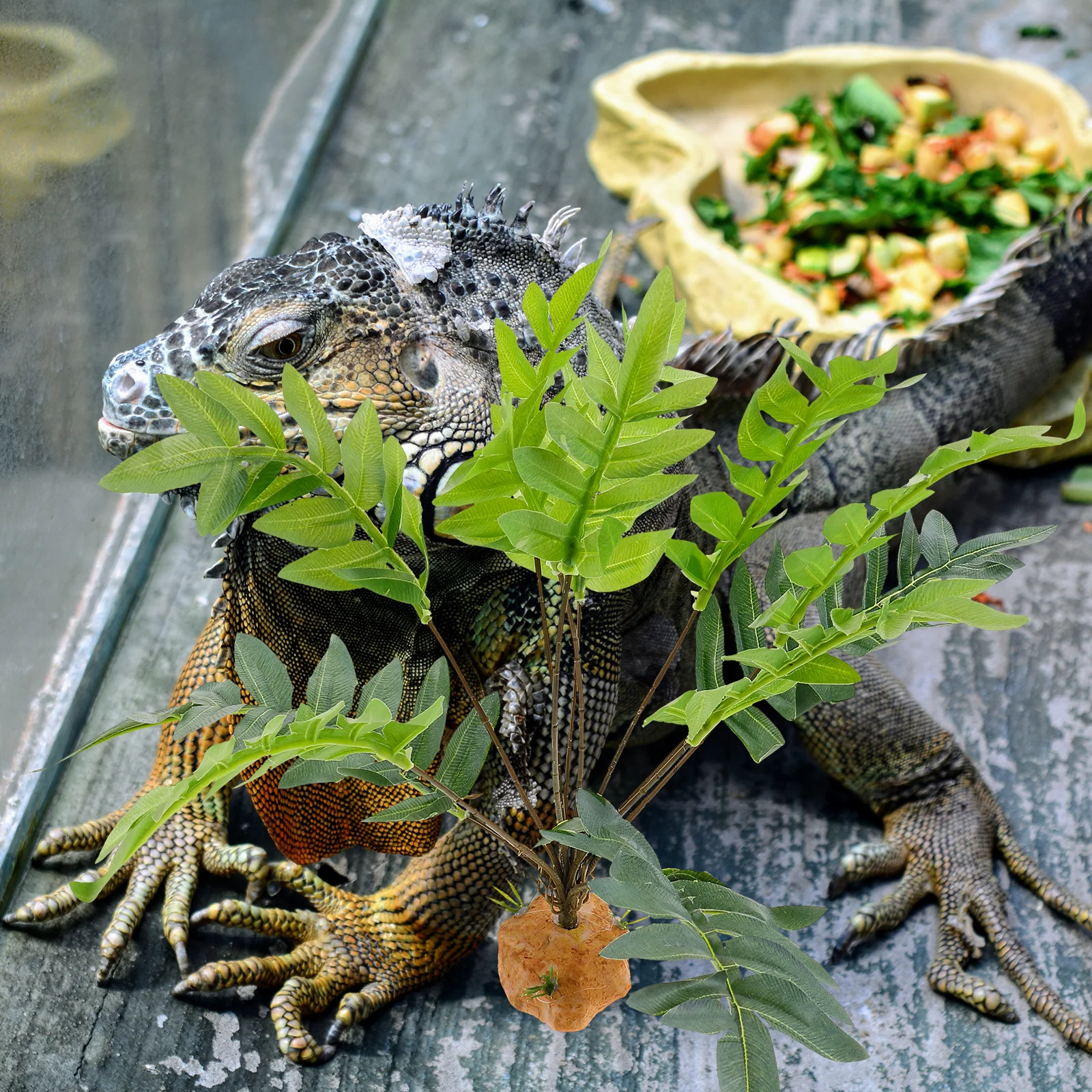 

Realistic Artificial Plant Decor For Amphibians Terrarium Reptile Tank Landscaping Ornament Fake Plants Decoration Reptile