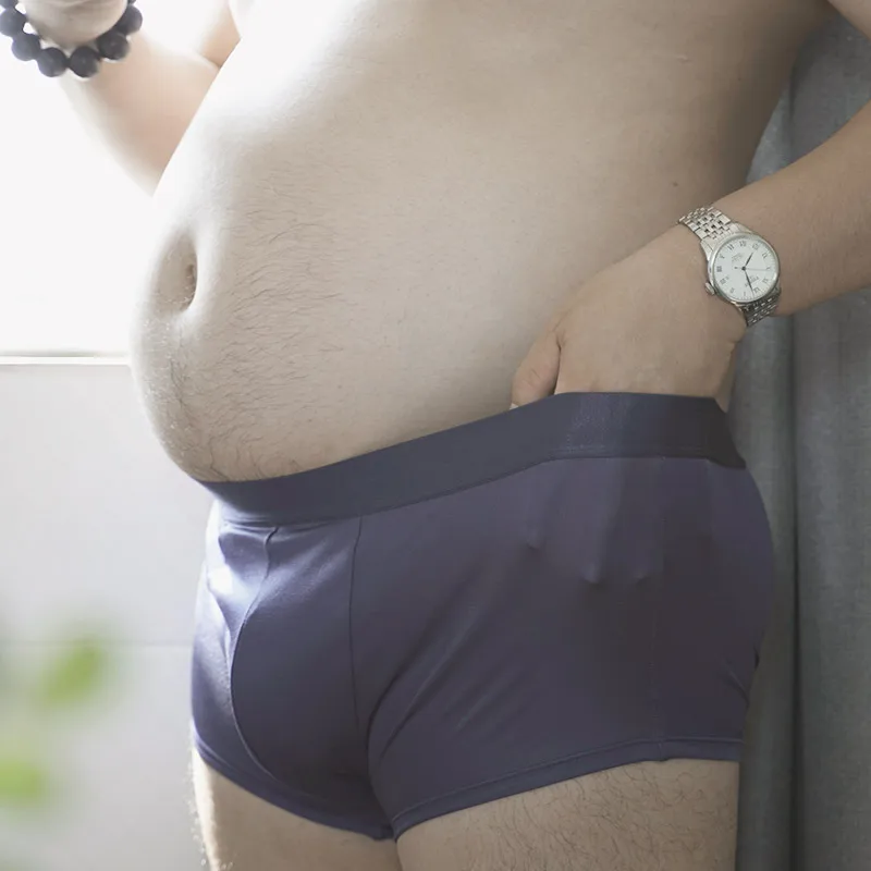 Men\'s Natural mulberry silk Briefs Sexy Lingerie Chubby Large size Fashion Comfortable and breathable Underwear Underpants