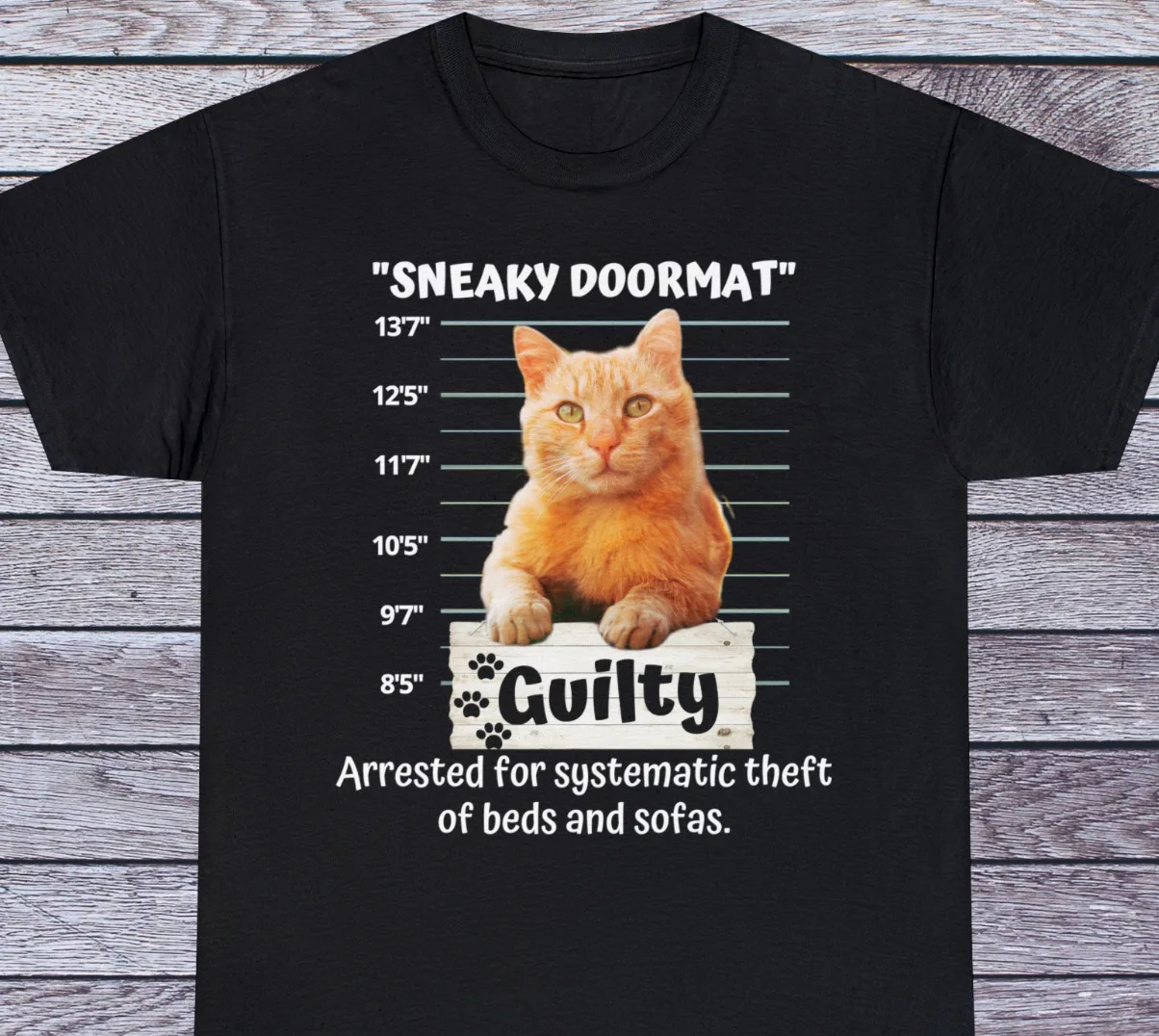 Sneaky Doormat Funny Cat Shirt Cat Lover Gift Cat Fathers Gift, Pet Lovers Tee