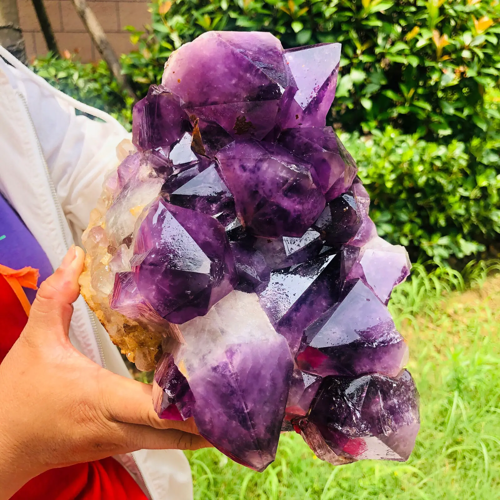 Natural Rock Quartz Crystal, Amethyst Cluster, Druzy Geode Sample, Healing