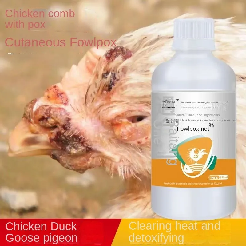 Limpiador de aves de corral de 250 ml, limpiador de pollos y palomas, limpiador de pollos y palomas, peine de pollo