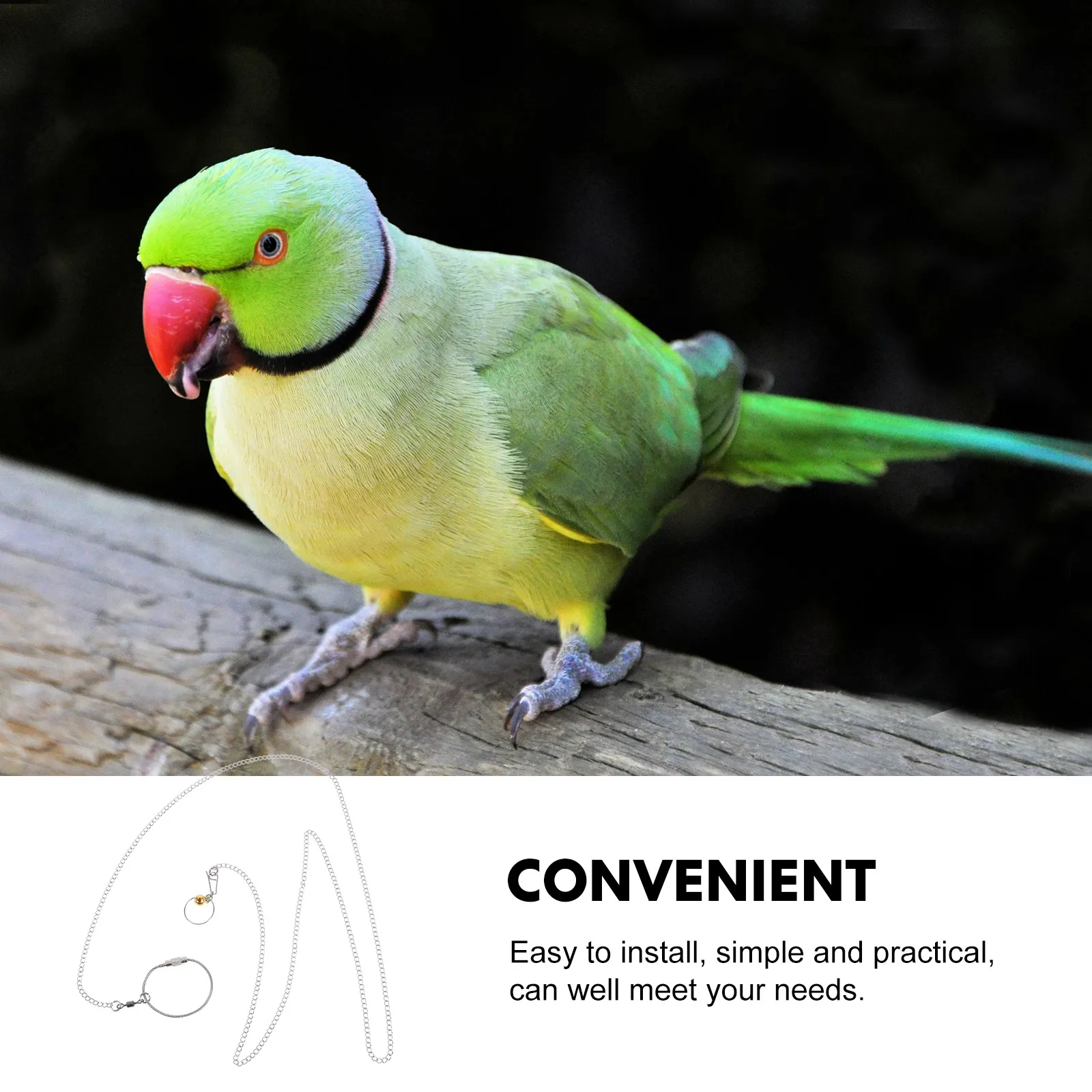 

Stainless Steel Bird Chain Collar for Parrot Cockatiel Harness Leash Foot Ring Adjustable Neck Bell anklet Conure Leg Bands