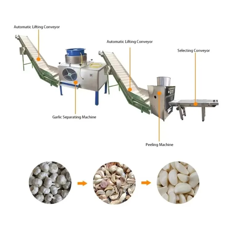Advanced Technology Garlic Washing Peeling Line Industry Standard High Stability for Best Practice Factory Custom