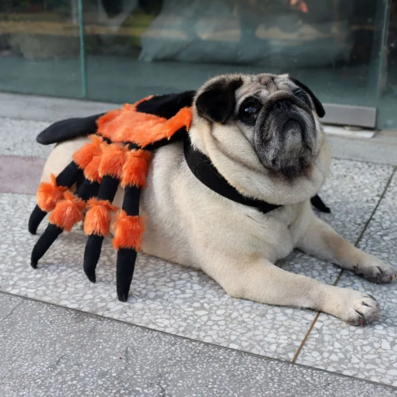 Disfraz de araña para mascotas, disfraces divertidos, suministros para disfraces de Halloween, decoración de arañas escalofriantes, fiestas de Halloween