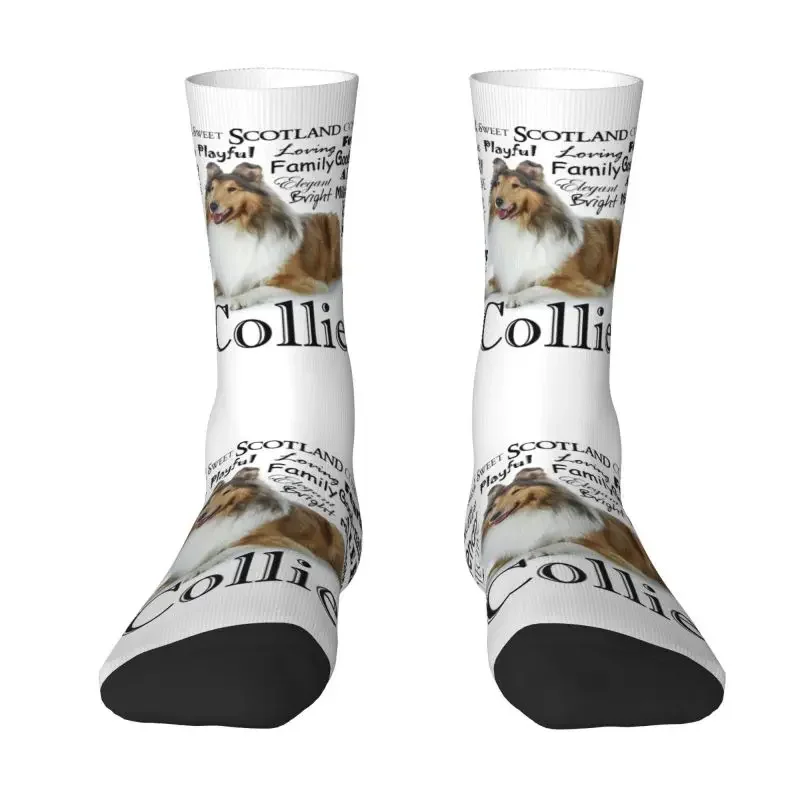 Cool Printing Pet Collie Dog Traits Socks for Women Men Stretch Summer Autumn Winter Animal Crew Socks