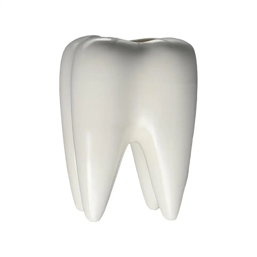 

Succulent Tooth Living Room Potted Garden Balcony Plant Pot Plant Container Tabletop Ornaments Flower Pot