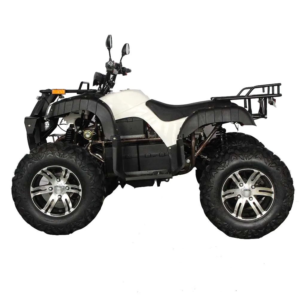 1000W / 1800W  Electric Atv2WD  4 Wheeler Atv for Adults