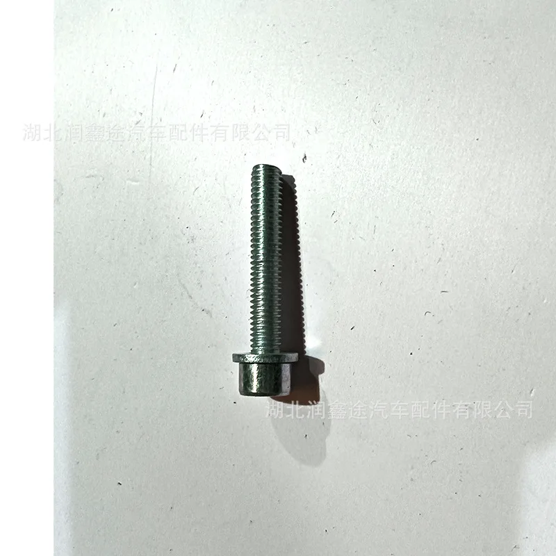 10Pcs 6925P3 Ignition Coil Screw for Peugeot 307 Citroen N7 N68 407