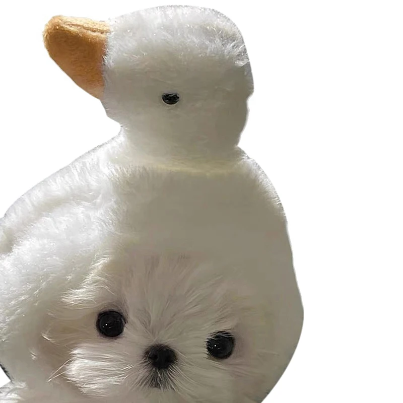 Maltese 큰 흰색 거위 인형 머리 도미, 로스트 고양이 머리, 귀여운 작은 강아지, 재미있는 소품