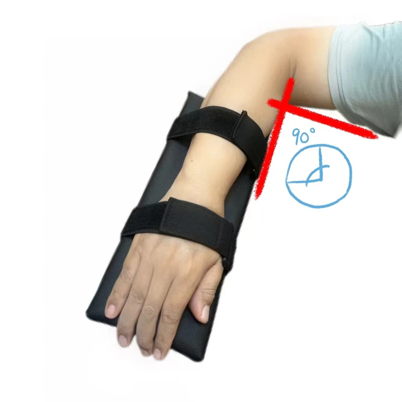 Рисунок 3 - Домашние, верхние и нижние конечности